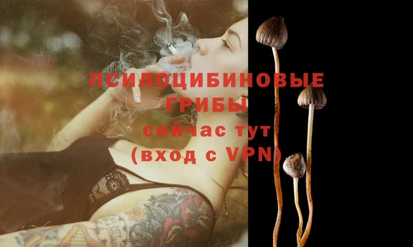 меф Белокуриха